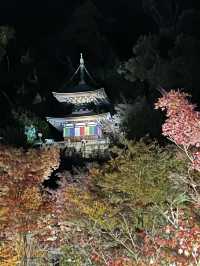 〜京都府〜紅葉の名所永観堂(えいかんどう)