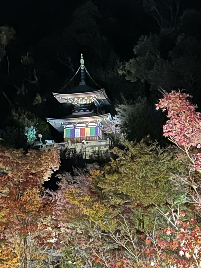 〜京都府〜紅葉の名所永観堂(えいかんどう)