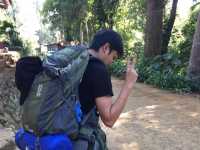 เดินป่าขึ้นชมดอยหลวงเชียงดาว