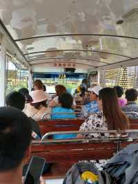 ชมวิวหลักล้านที่สวนนงนุช พัทยา