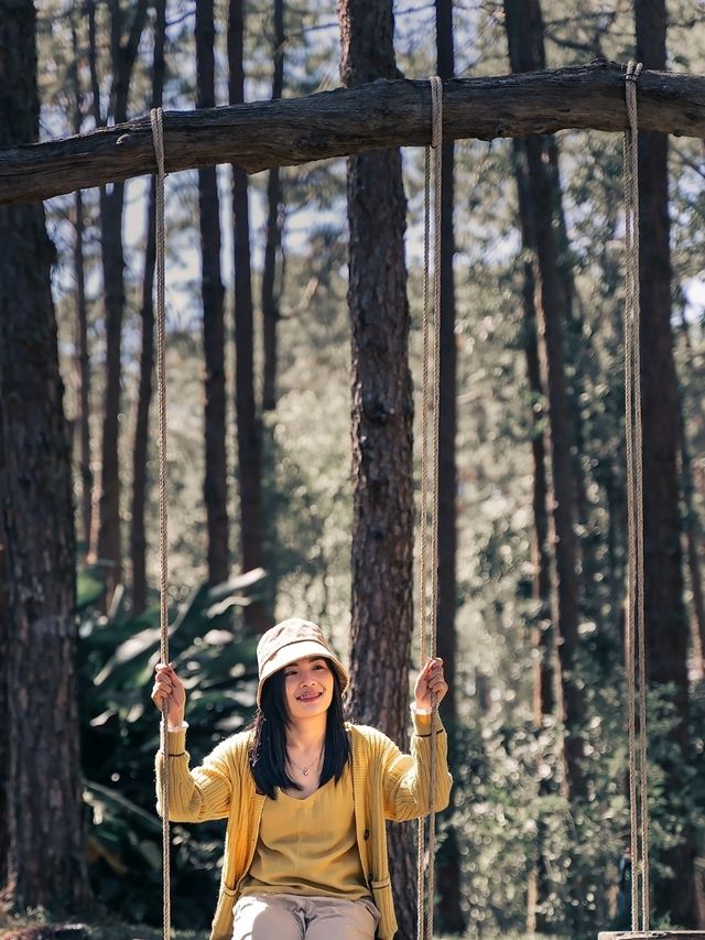 สวนป่าดอยบ่อหลวง อ.ฮอด Chiangmai