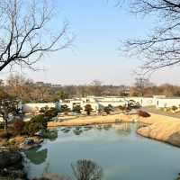 虎跑公園～中式園林之美