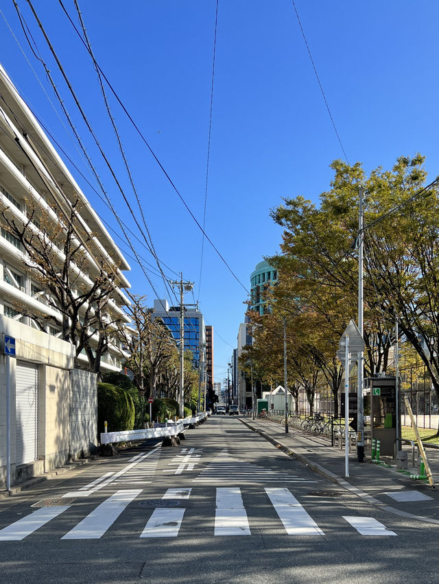 FUKUOKA STREET VIBES 🤎☘️ .