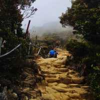 **"Conquering Mount Kinabalu: A Rewarding Challenge"**
