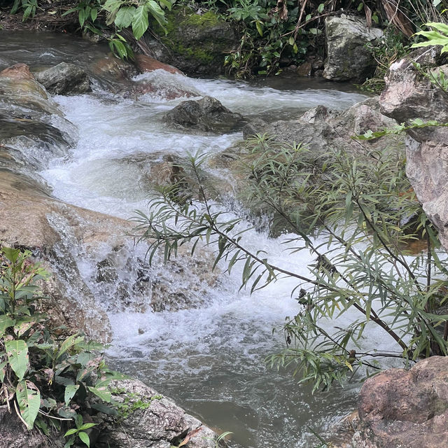 น้ำตกสาริกา  🍃