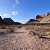 Where the Mountains Meet the Sky – Discover Big Bend’s Untamed Beauty