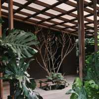 SOP Cafe - คาเฟ่ของกาลเวลาและธรรมชาติ