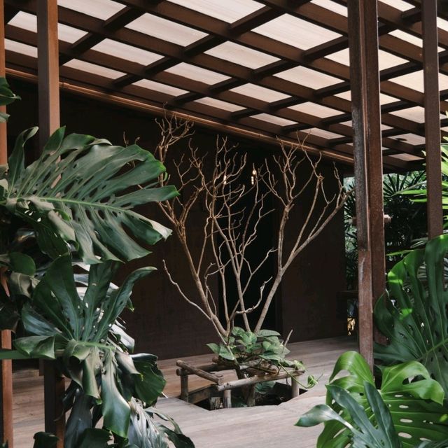 SOP Cafe - คาเฟ่ของกาลเวลาและธรรมชาติ