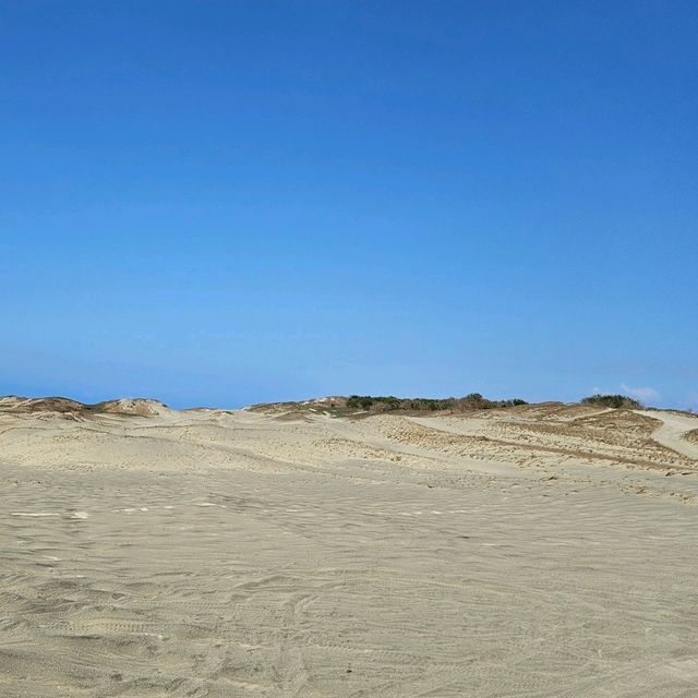 #sanddunes