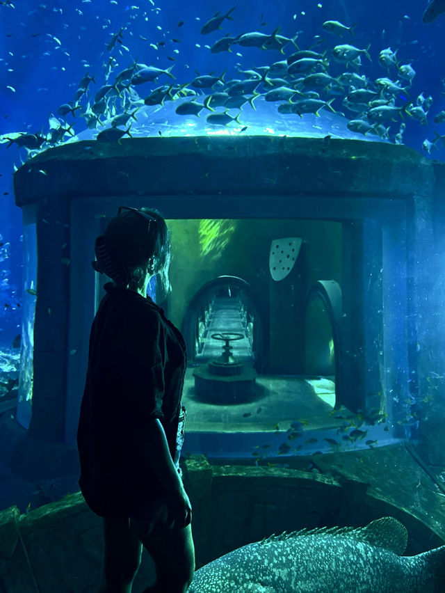 One of the largest aquariums in Vietnam 🇻🇳 