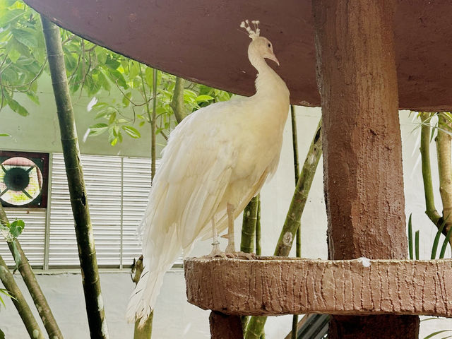 Langkawi Wildlife Park