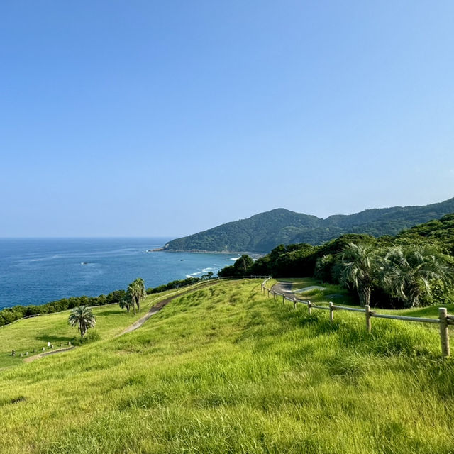 想看海就一定要來 - 宮崎日南太陽花園