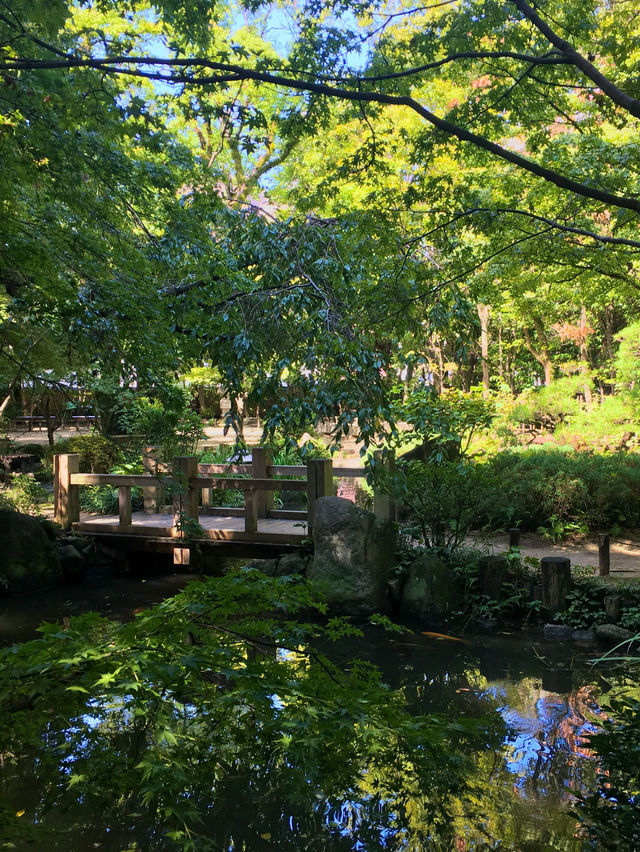후쿠오카의 정원 🌳 라쿠스이엔