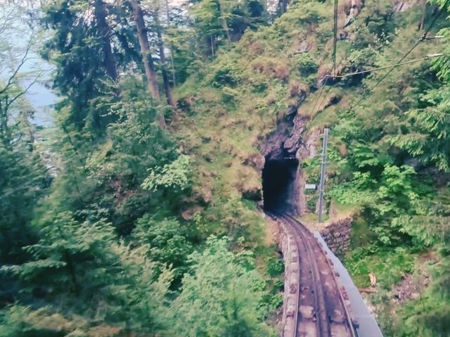驚險刺激的䌫車體驗