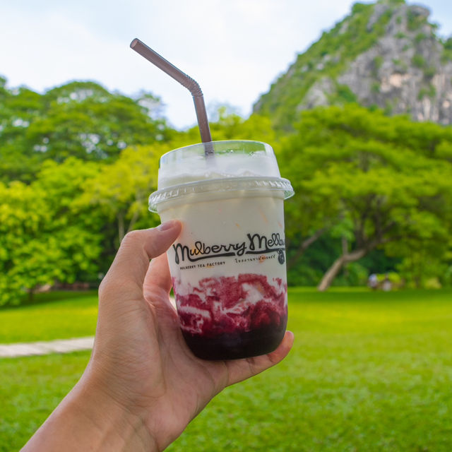 คาเฟ่บรรยากาศร่มรื่นเขียวสบายตา กาญจนบุรี