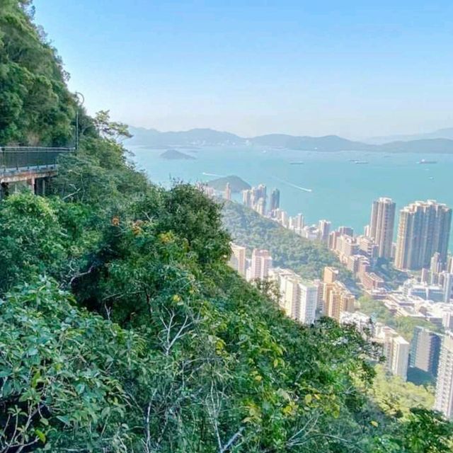 🌳 山頂公園超絕歐美花景 x 樹木研習徑