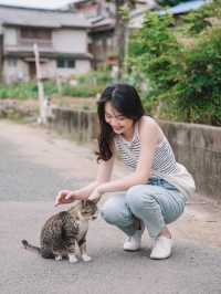 🇯🇵 福岡 絕對是貓奴的天堂景點🐈 被CNN評選為世界六大貓島——相島🐈‍⬛
