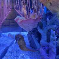 SEA LIFE Bangkok Ocean World