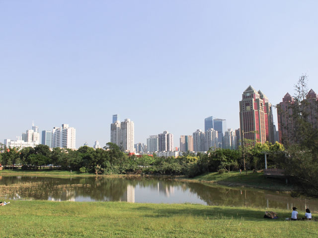 深圳｜週末去遠一點的地方逛逛、放風箏