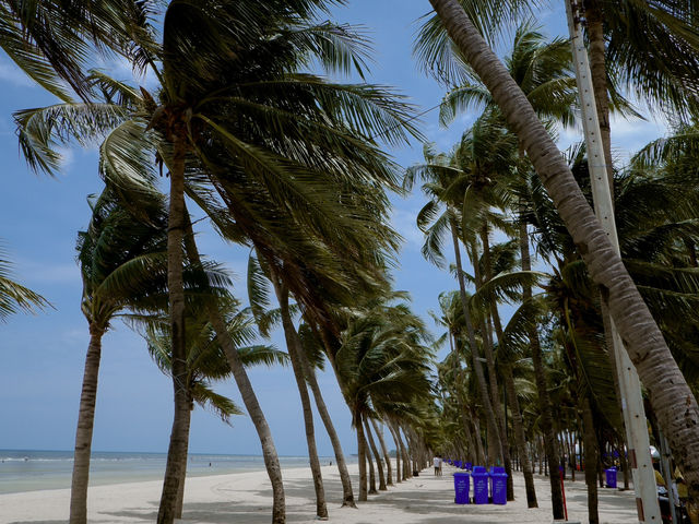  : หาดบางแสน | ในวันที่ไม่มีคน | 🌴🌊