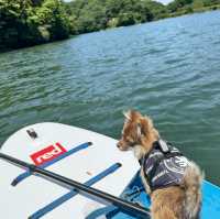 那須で犬連れSUP