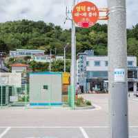 영덕의 시원한 바닷바람을 즐기는 공원