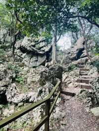 【沖縄県】大石林山でカジュアルハイキング！