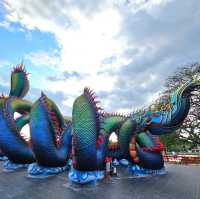 วัดถ้ำแจง🐉พญานาคใหญ่ที่สุดของไทย