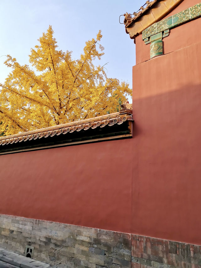 Autumn in the Forbidden City: A Journey Through History and Beauty 