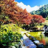 杉林溪森林遊樂區