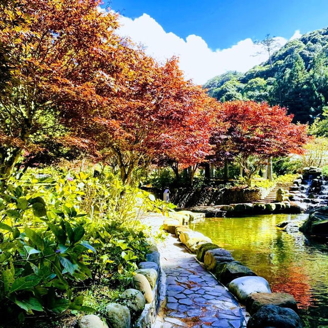杉林溪森林遊樂區