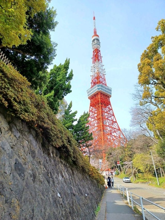 【東京タワー:東京都港区】美しい東京のシンボル♪