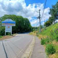 【フラワーランドかみふらの:北海道上富良野町】カラフルなお花が見れるフラワーランドかみふらの🌷