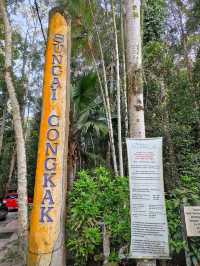 Escape to Nature: Sungai Congkak Recreational Forest
