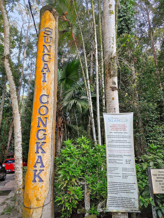 Escape to Nature: Sungai Congkak Recreational Forest