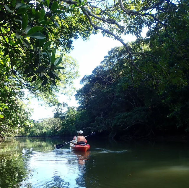 【沖縄】家族で自然を大冒険🌳忘れられない体験を🛶🤍