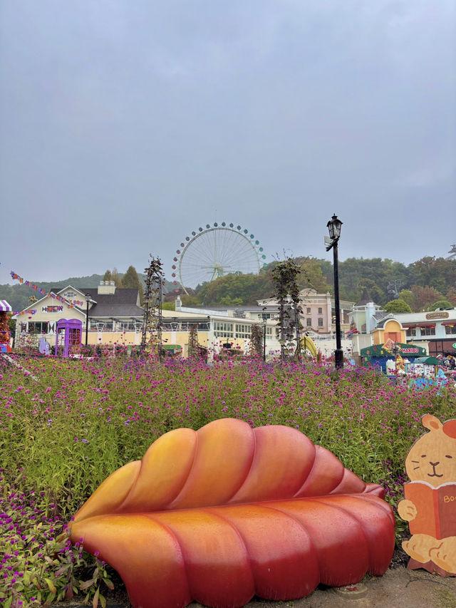 신비한 퍼레이드가 매일매일 펼쳐지는 용인 에버랜드🥳