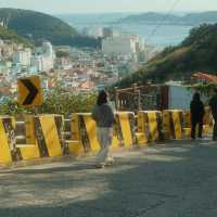 Gamcheon Culture Village -Vibrant colors