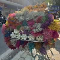 【🇻🇳ハノイ】ハスの花束🪷