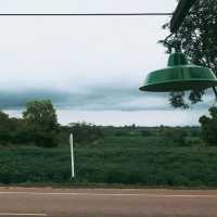 โอลดี้ส์-ป่าหินงาม