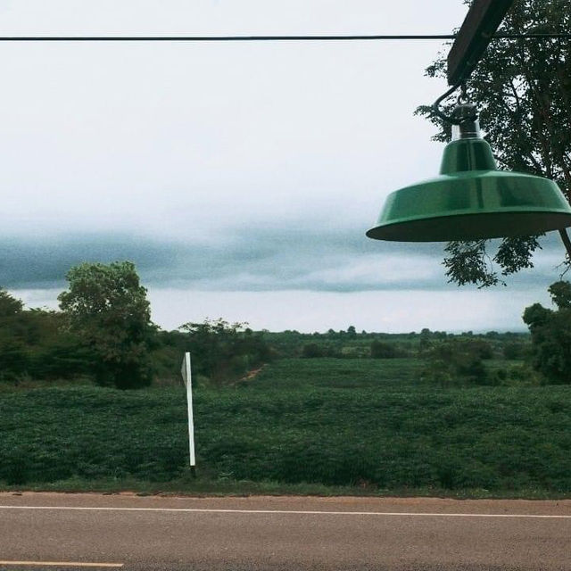 โอลดี้ส์-ป่าหินงาม