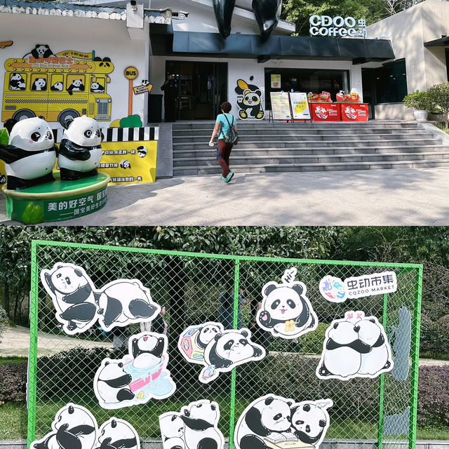 พาดูหมีแพนด้าแบบใกล้ชิด ที่สวนสัตว์ฉงชิ่ง🇨🇳