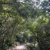 西貢郊野公園行山樂