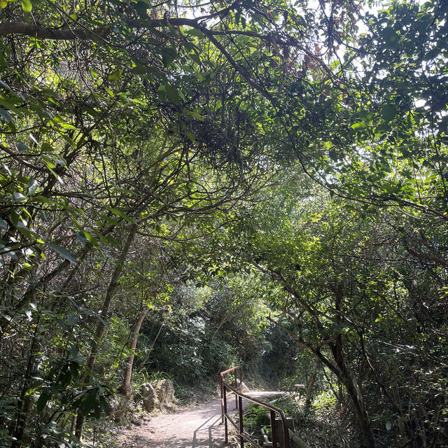 西貢郊野公園行山樂