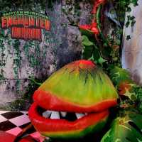 SAMYAN MITRTOWN ENCHANTED OF HORROR 