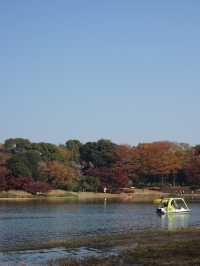 東京｜都心からアクセスしやすい紅葉スポット🍁