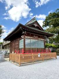 【東京都】存在感ある樹齢900年の欅