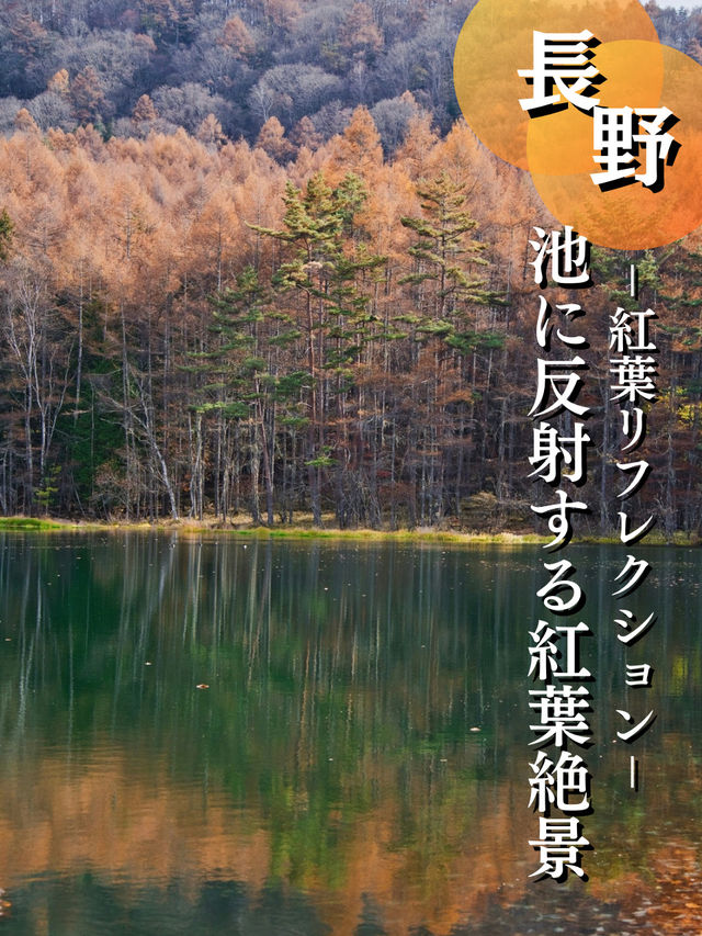 【長野】水面に映り込む超神秘的や紅葉絶景✨✨