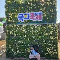 가을에 꼭 가봤으면 하는 꽃천지 , 연천 국화 축제 🌺
