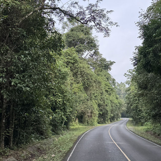 ⛰️ผาเดียวดาย เขาใหญ่🍃